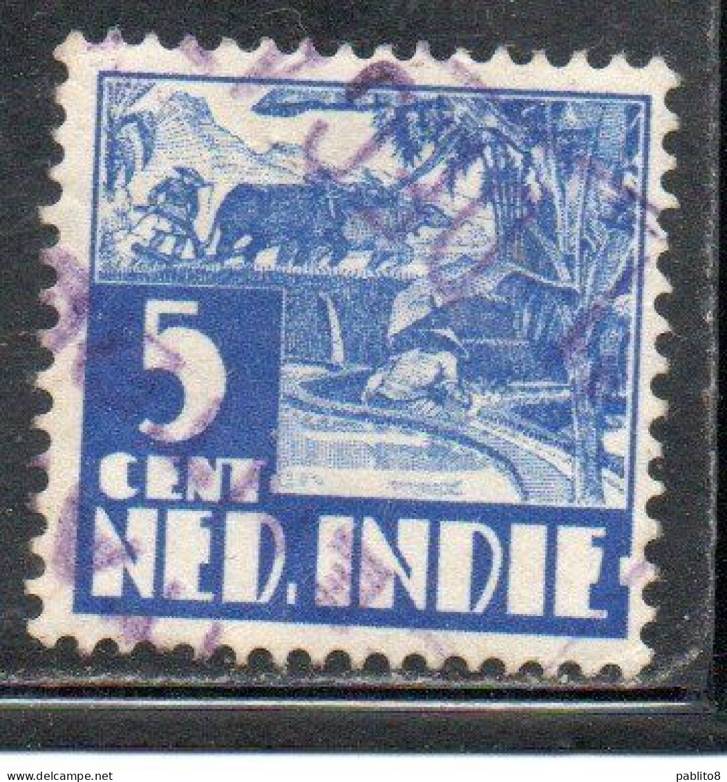 DUTCH INDIA INDIE INDE NEDERLANDS HOLLAND OLANDESE OLANDESI INDIES 1933 1937 1934 RICE FIELD SCENE 5c USED USATO - Nederlands-Indië