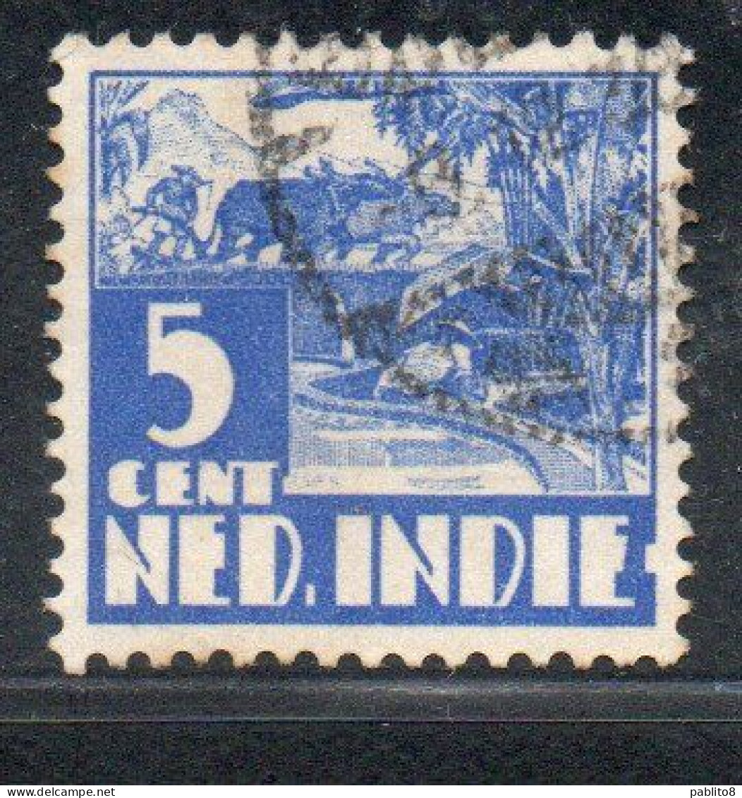 DUTCH INDIA INDIE INDE NEDERLANDS HOLLAND OLANDESE OLANDESI INDIES 1933 1937 1934 RICE FIELD SCENE 5c USED USATO - Nederlands-Indië