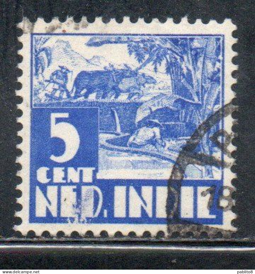 DUTCH INDIA INDIE INDE NEDERLANDS HOLLAND OLANDESE OLANDESI INDIES 1933 1937 1934 RICE FIELD SCENE 5c USED USATO - Nederlands-Indië