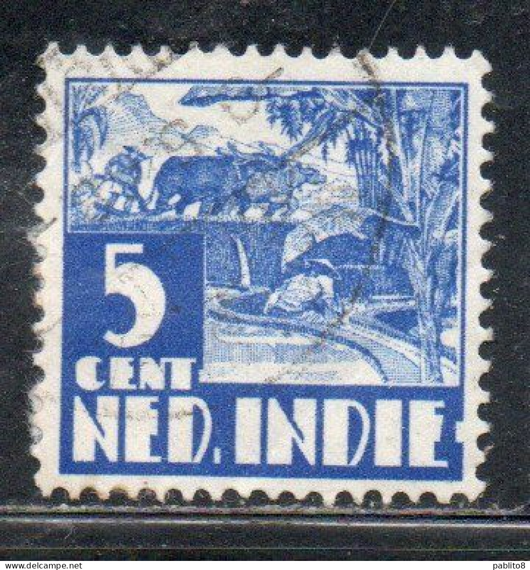 DUTCH INDIA INDIE INDE NEDERLANDS HOLLAND OLANDESE OLANDESI INDIES 1933 1937 1934 RICE FIELD SCENE 5c USED USATO - Nederlands-Indië