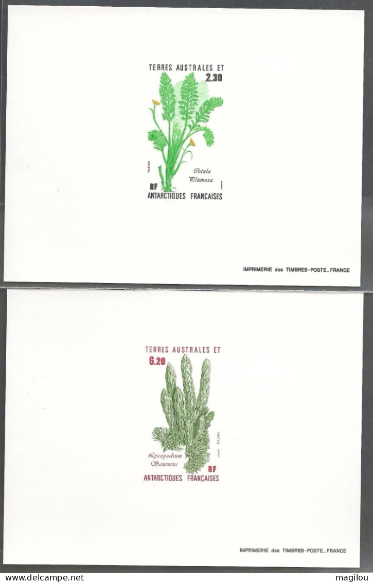 2 Epreuve De Luxe Taaf/fsat Flore YVT 118/119 - Imperforates, Proofs & Errors