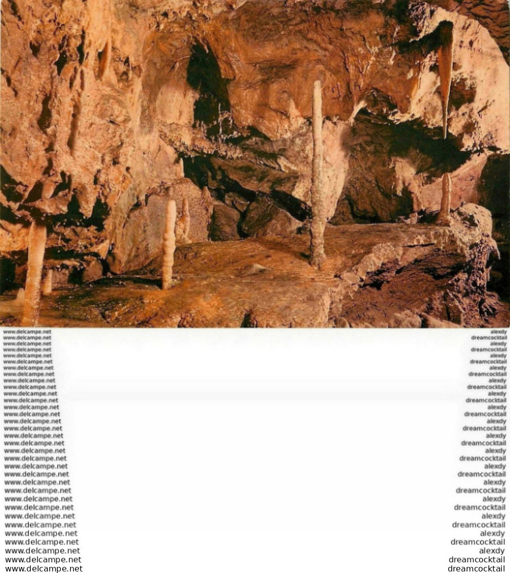 Photo Cpsm Cpm Angleterre. TORQUAY. Kent's Cavern. Group Showing Stalagmite - Torquay