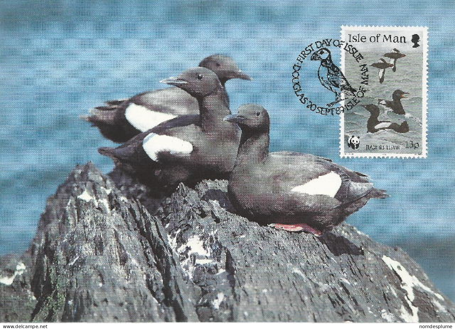 26012 ) GB UK Isle Of Man WWF 1989 Bird   - Storia Postale
