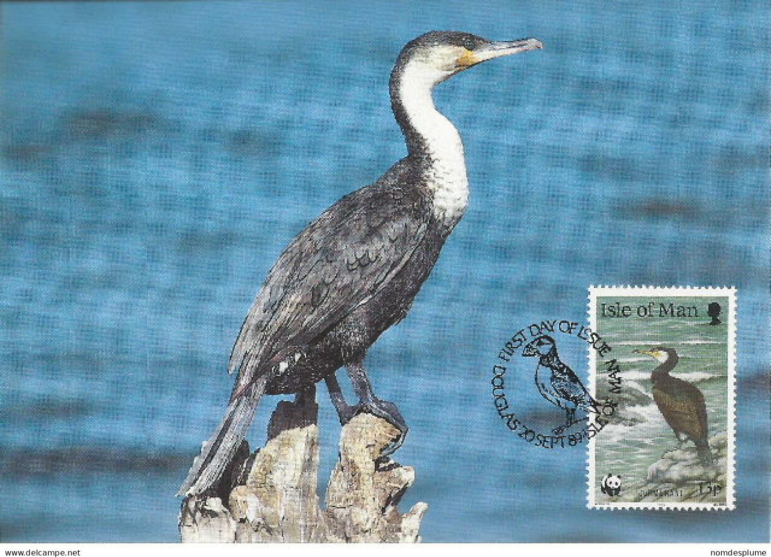 26013 ) GB UK Isle Of Man WWF 1989 Bird   - Lettres & Documents