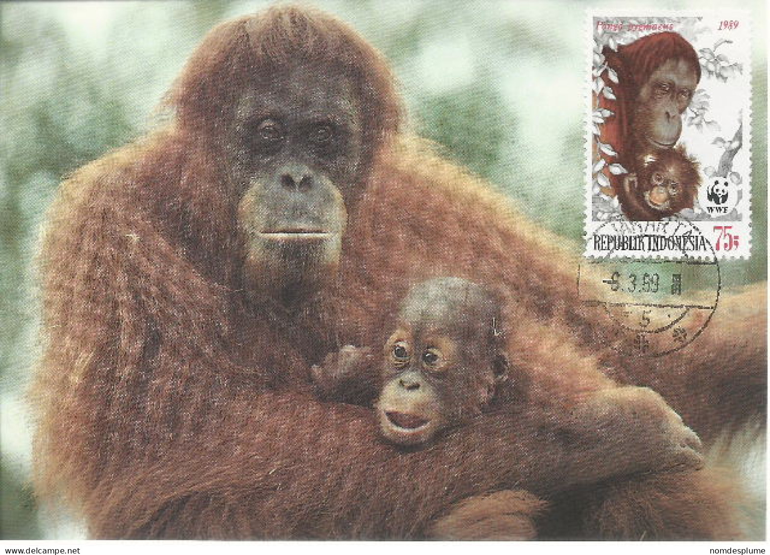 26028 ) Indonesia WWF 1989  Orangotan Monkey Ape Mammal Postcard Maxi Cover - Lettres & Documents
