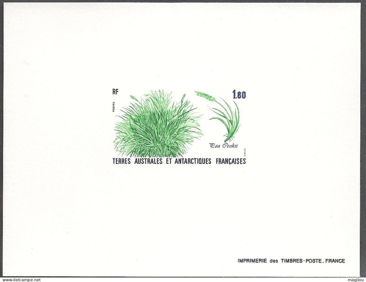 Epreuve De Luxe Taaf/fsat Flore YVT 125 - Imperforates, Proofs & Errors