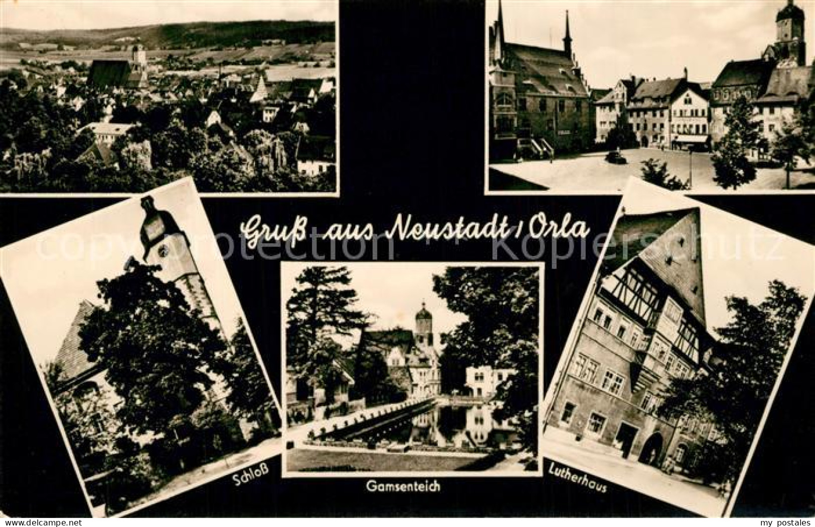 43353059 Neustadt Orla Gamsenteich Lutherhaus Schloss  Neustadt Orla - Neustadt / Orla