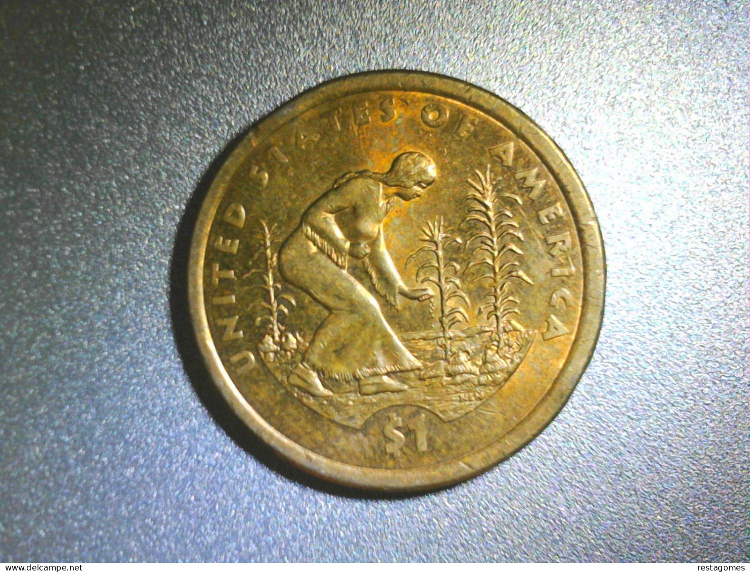 USA - Dollar 2009  Native American - Centraal-Amerika