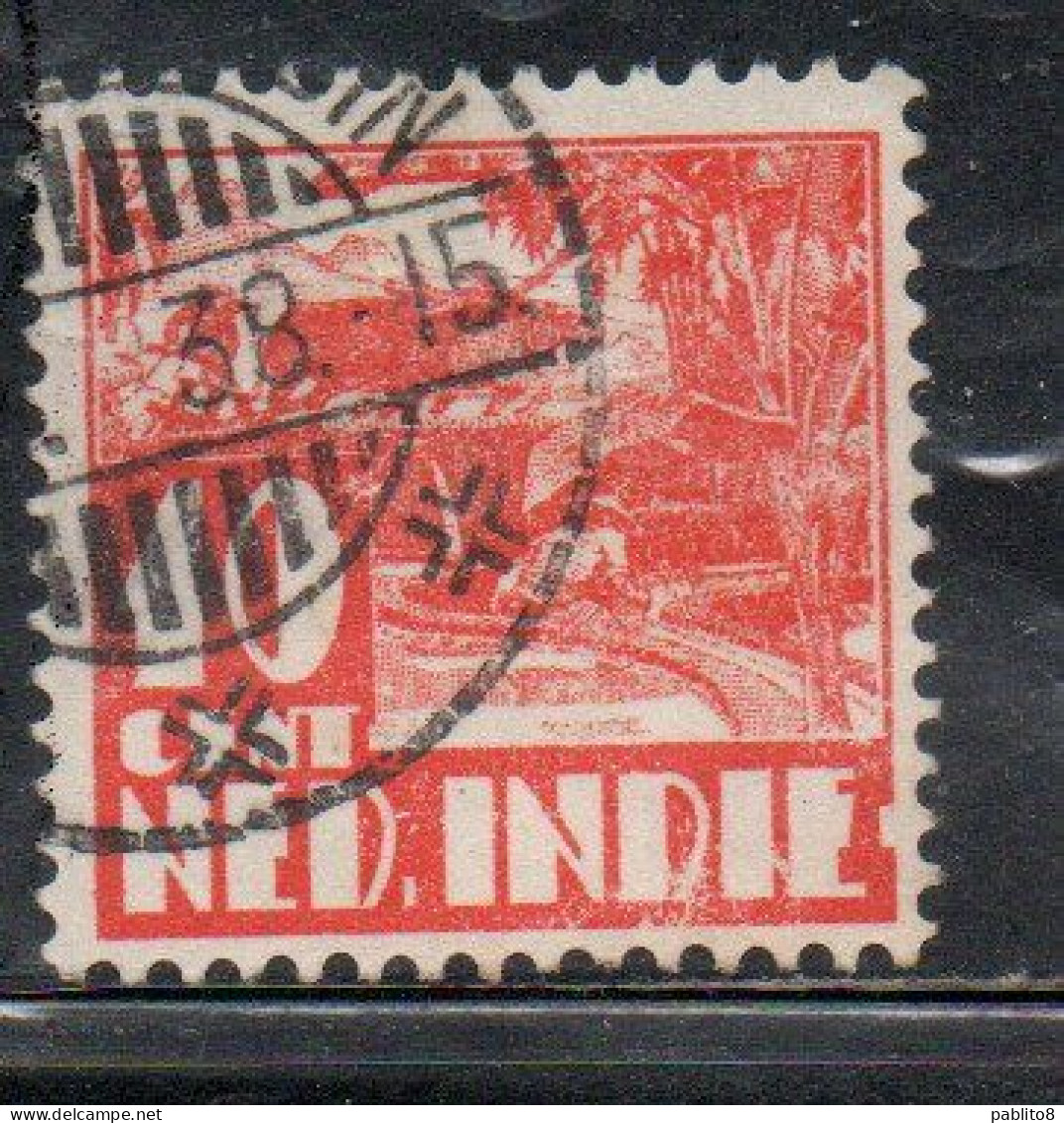 DUTCH INDIA INDIE INDE NEDERLANDS HOLLAND OLANDESE OLANDESI INDIES 1933 1937 1934 RICE FIELD SCENE 10c USED USATO - Nederlands-Indië