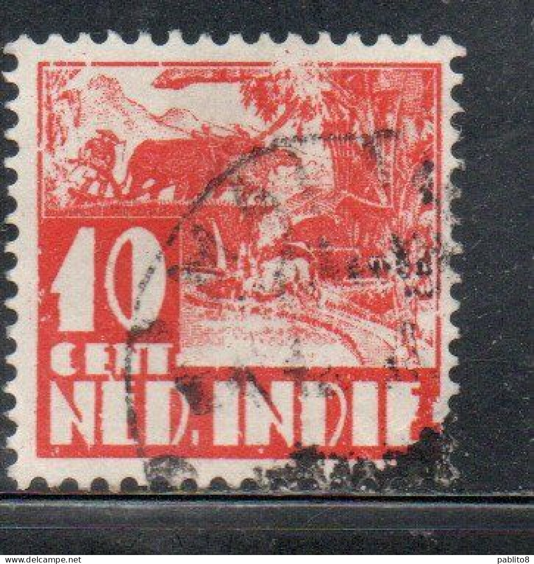 DUTCH INDIA INDIE INDE NEDERLANDS HOLLAND OLANDESE OLANDESI INDIES 1933 1937 1934 RICE FIELD SCENE 10c USED USATO - Nederlands-Indië