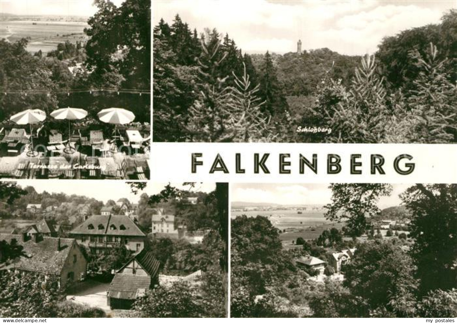 43351228 Falkenberg Mark Terrasse Carlsburg Schlossberg Falkenberg Mark - Falkenberg (Mark)