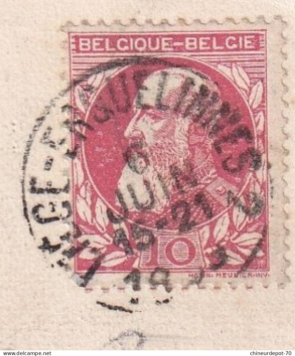 Merbes Le Chateau Chateau Marquet Roi Leopold Grosse Barbe Ambulant Liège Erquelinnes - Bahnpoststempel