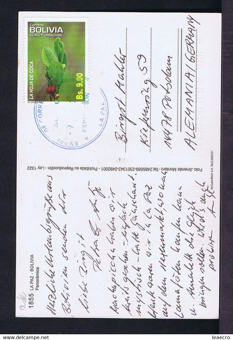 Gc6053 BOLIVIA Drogue Coca Sheet Flora Vegetables Flora Fleurs Flowers Postcard Landscape Mailed - Vegetazione