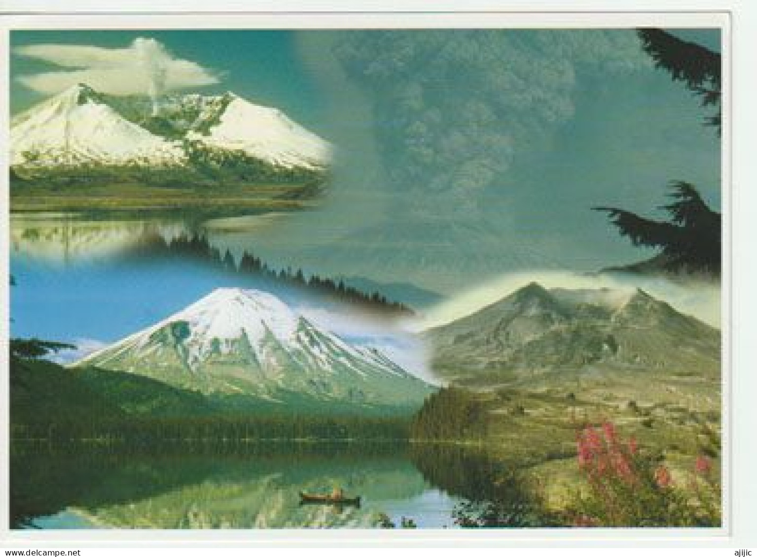 USA.Éruption Du Mont Saint Helens En 1980.  (Impact Photographics) - Volcans