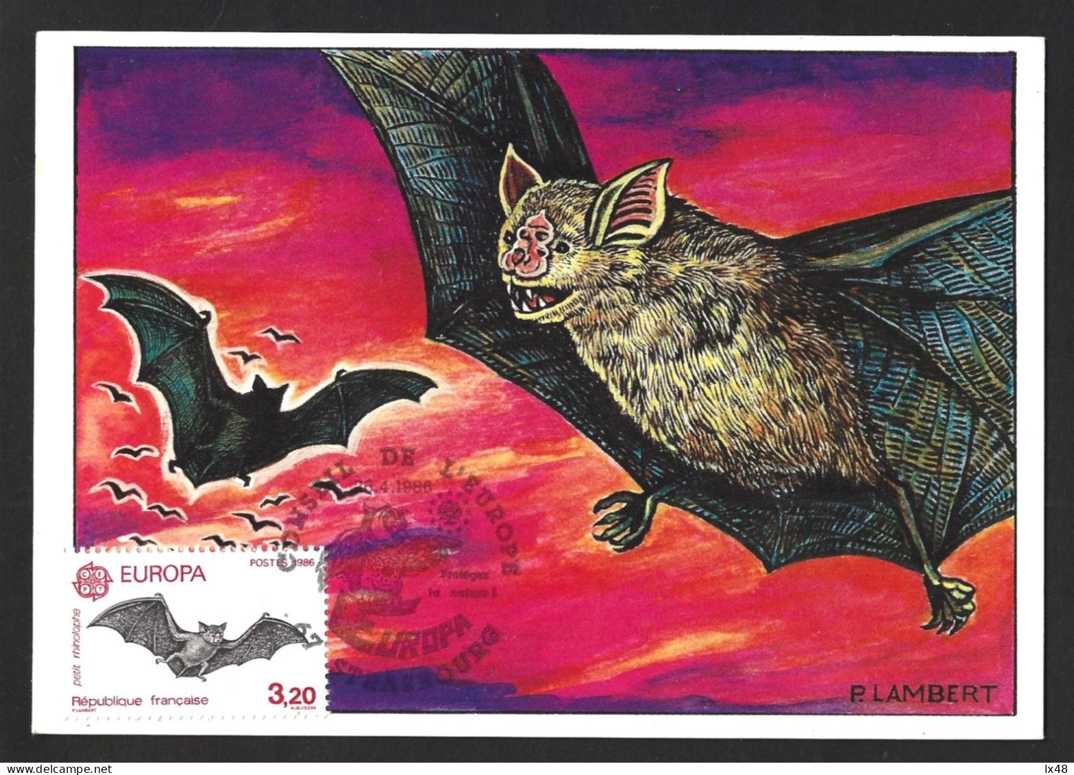 Bat. Little Rhinolophe, Rhinolopus Hipposideros. Triple Maximum Postcard. Schläger. Knuppel. Chauve Souris. Petit Rhinol - Vleermuizen