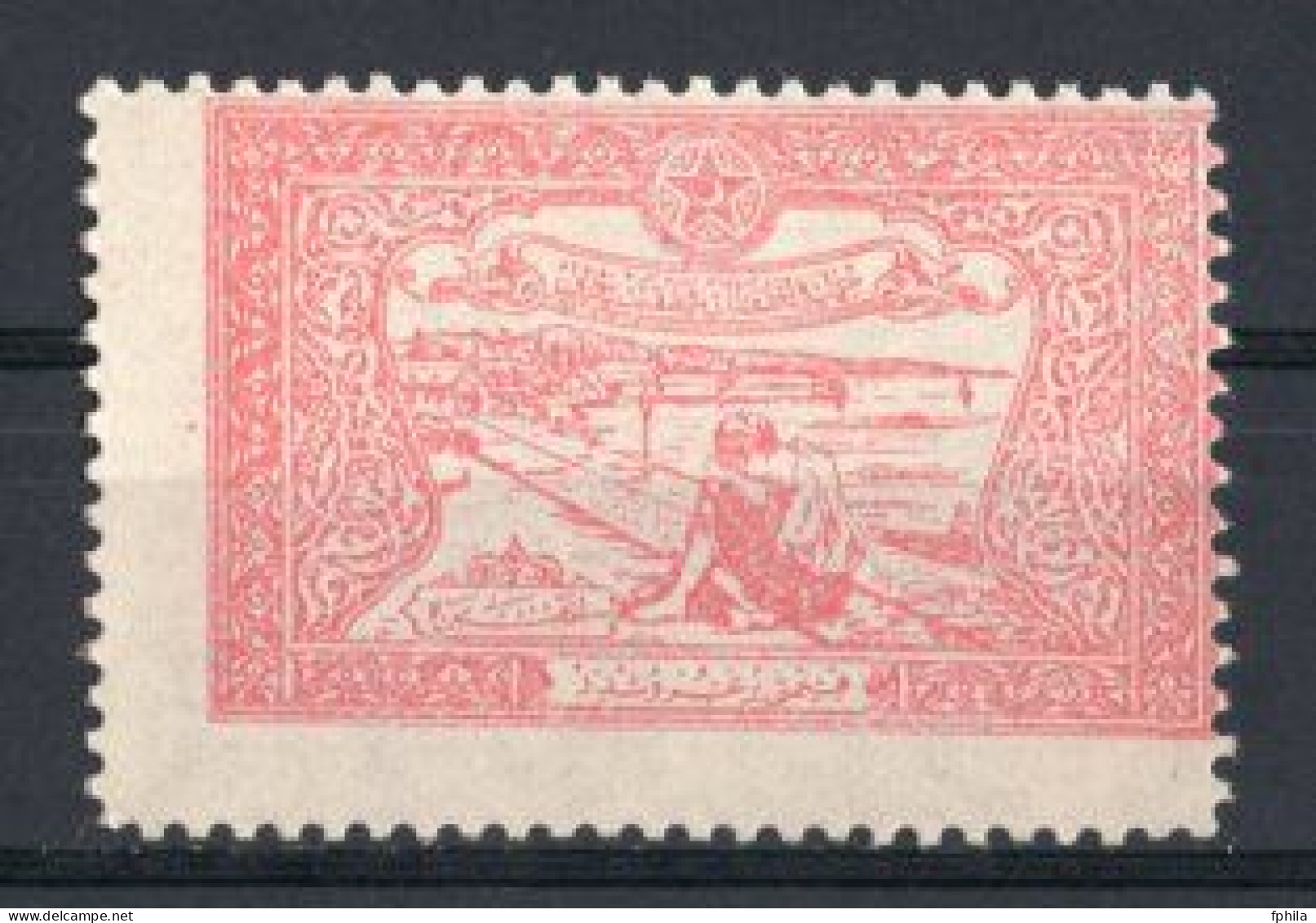 1923 TURKEY STAMP IN AID OF THE TURKISH SOCIETY FOR THE PROTECTION OF CHILDREN MNH ** - Charity Stamps