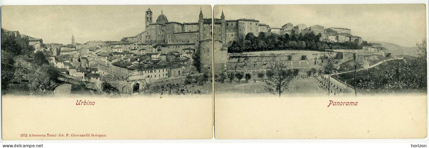 D.491  URBINO - Panorama - Cartolina Doppia - Urbino