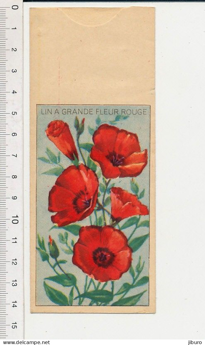 Other & unclassified - Ancien sachet de graines (vide à remplir) pour  commerce horticole grainetier Lin à grande fleur rouge Plante linum