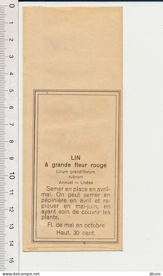 Other & unclassified - Ancien sachet de graines (vide à remplir) pour  commerce horticole grainetier Lin à grande fleur rouge Plante linum