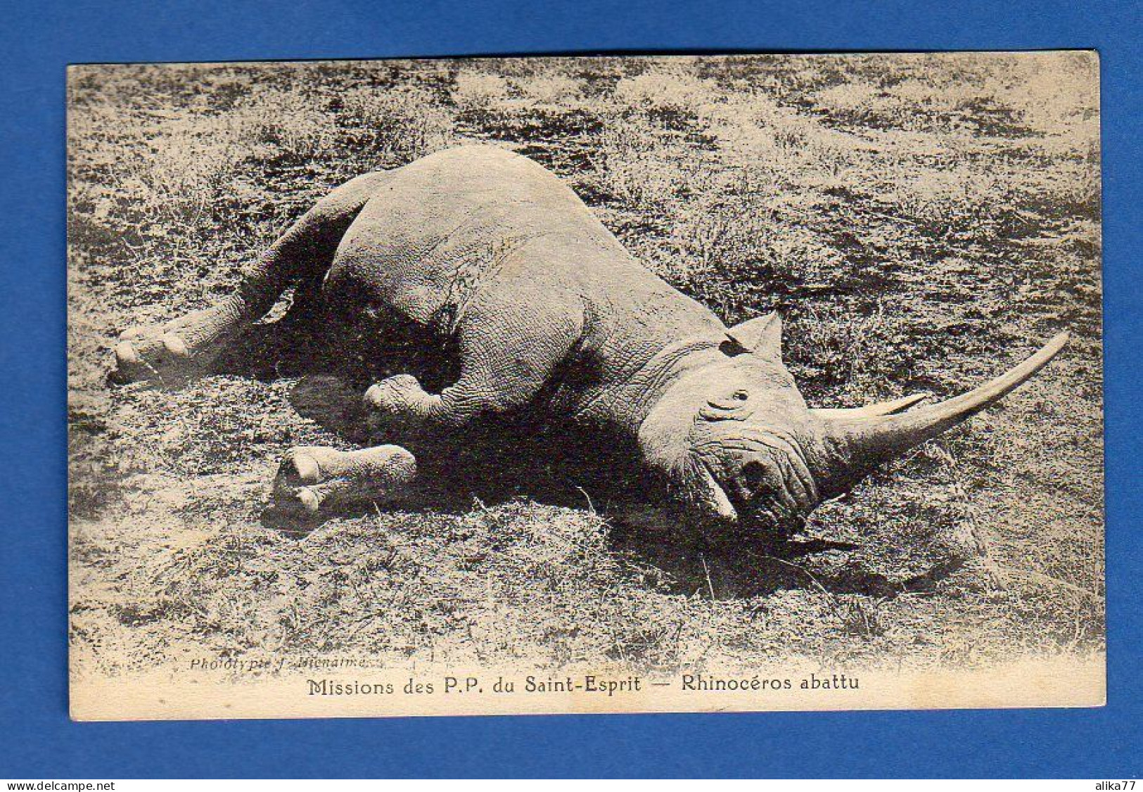 CPA     Mission Des P.P.du Saint Esprit.   Rhinocéros Abattu - Rhinozeros