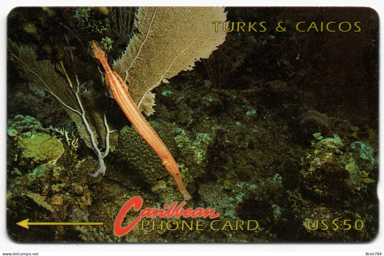 Turks & Caicos - Trumpet Fish - 1CTCA - Turks & Caicos (Islands)