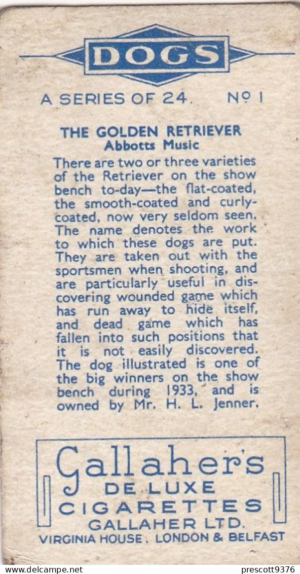 1 Golden Retriever   - Dogs 1938 -  Gallahers Cigarettes - Original - - Gallaher