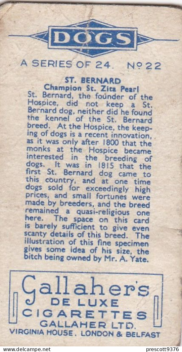 22 St Bernard  - Dogs 1938 -  Gallahers Cigarettes - Original - - Gallaher