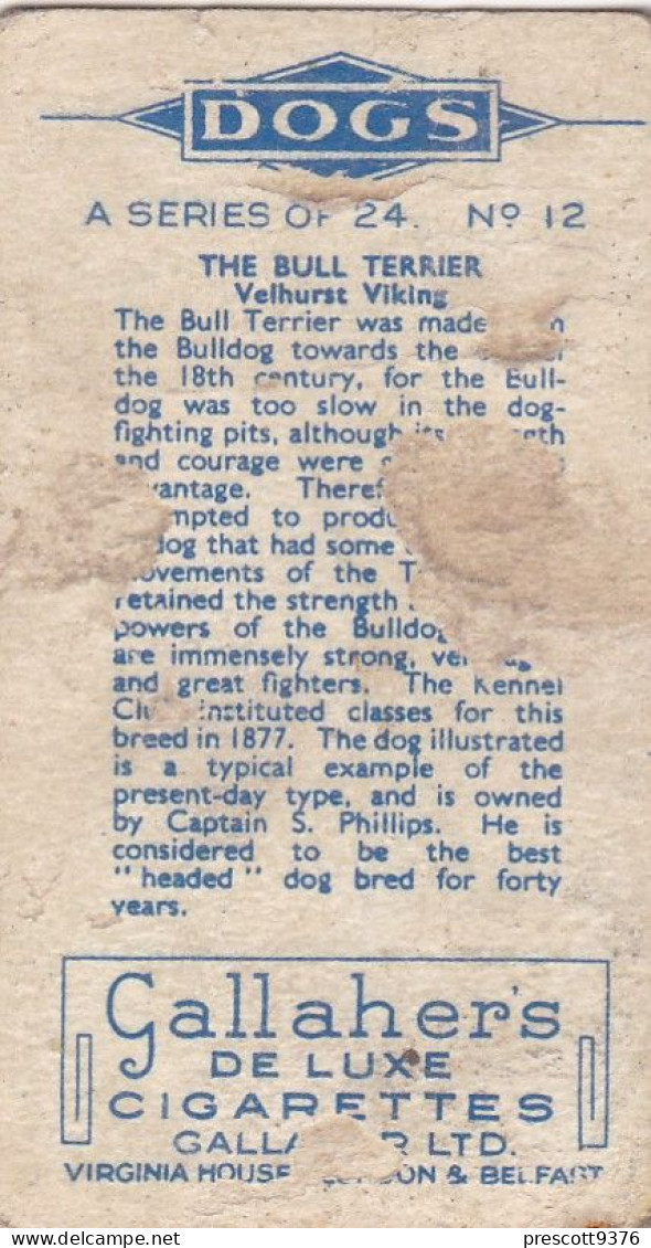 12 Bull Terrier  - Dogs 1938 -  Gallahers Cigarettes - Original - - Gallaher