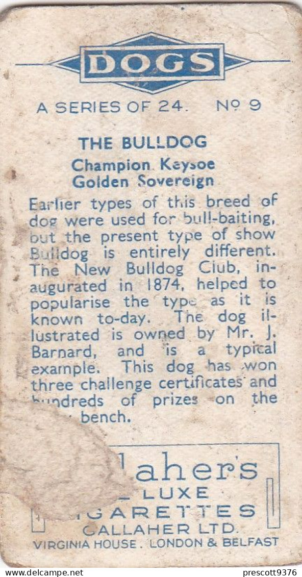 9 British Bulldog - Dogs 1938 -  Gallahers Cigarettes - Original - - Gallaher