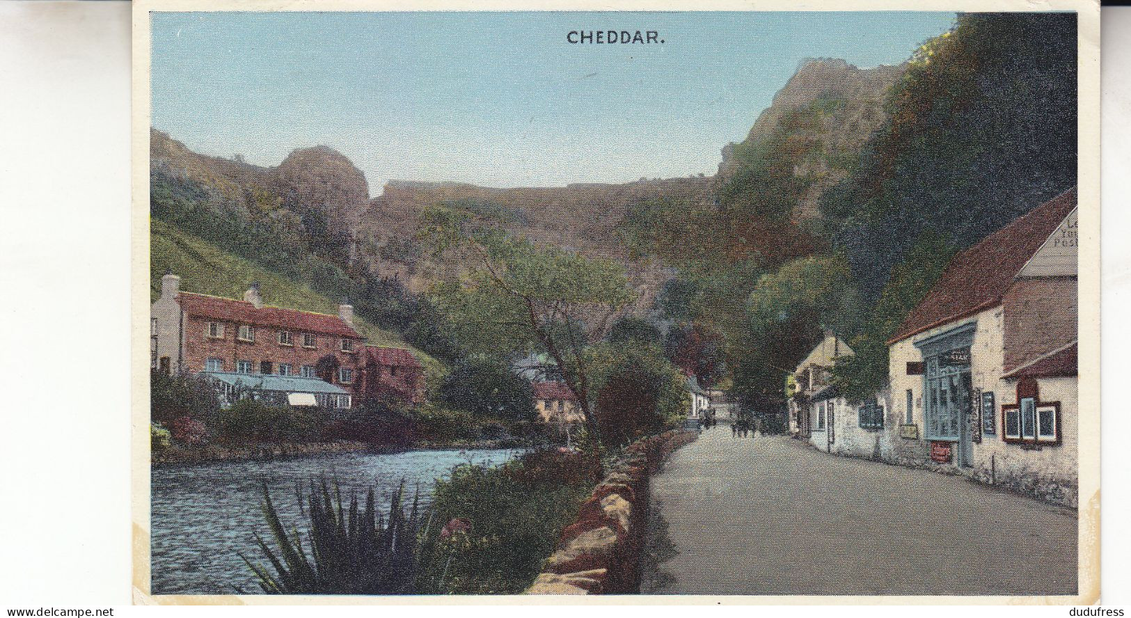 CHEDDAR - Cheddar