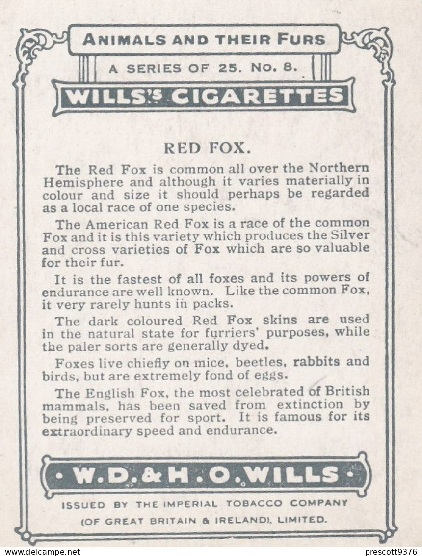 8 Red Fox - Animals & Their Furs 1929 -  Wills Cigarettes - Original - L Size - - Wills
