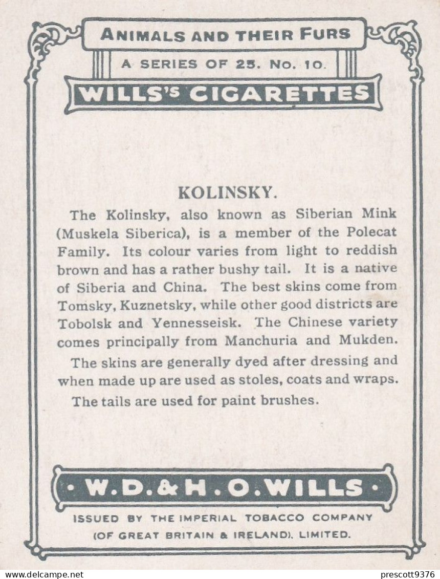 10 Kolinsky - Animals & Their Furs 1929 -  Wills Cigarettes - Original - L Size - - Wills