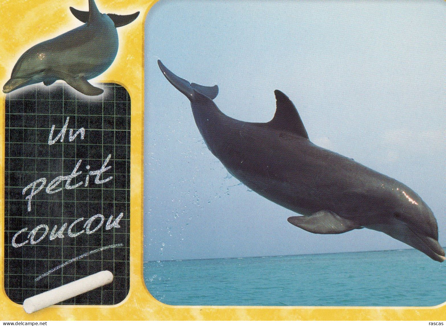 CPM - DAUPHIN - UN PETIT COUCOU - Dolfijnen