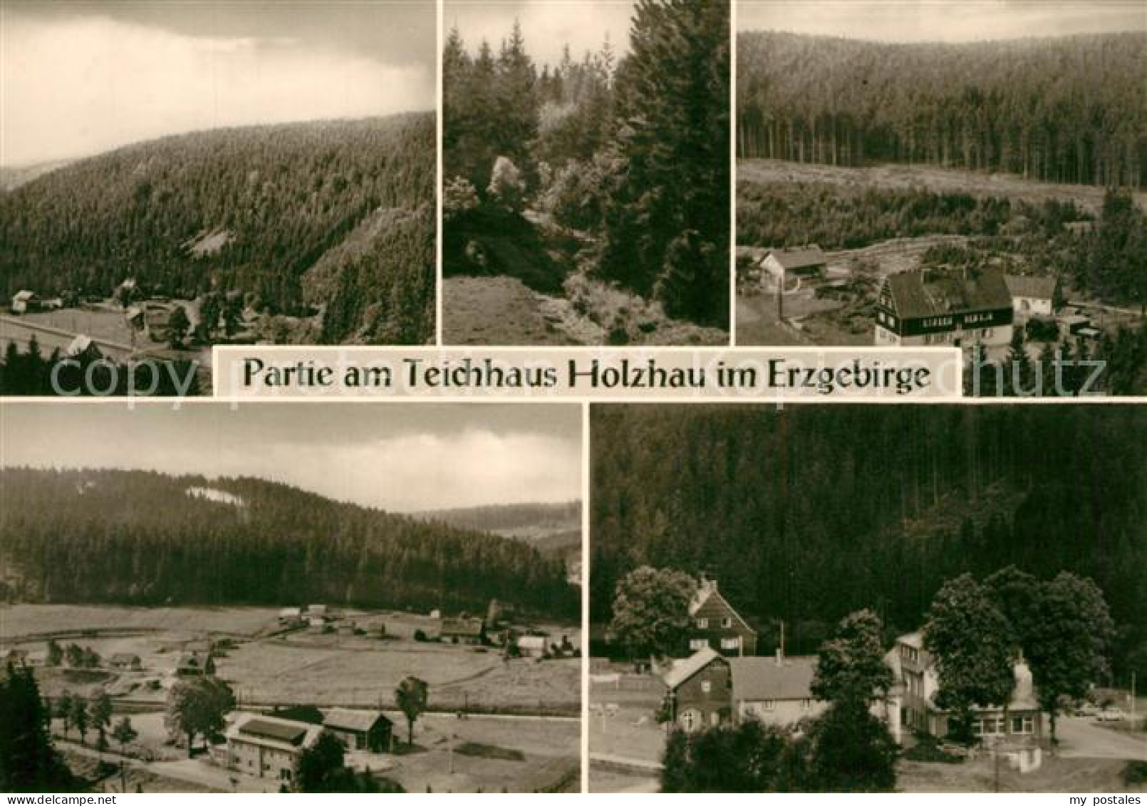 43347485 Holzhau Brand-Erbisdorf Teichhaus Panorama Holzhau Brand-Erbisdorf - Brand-Erbisdorf