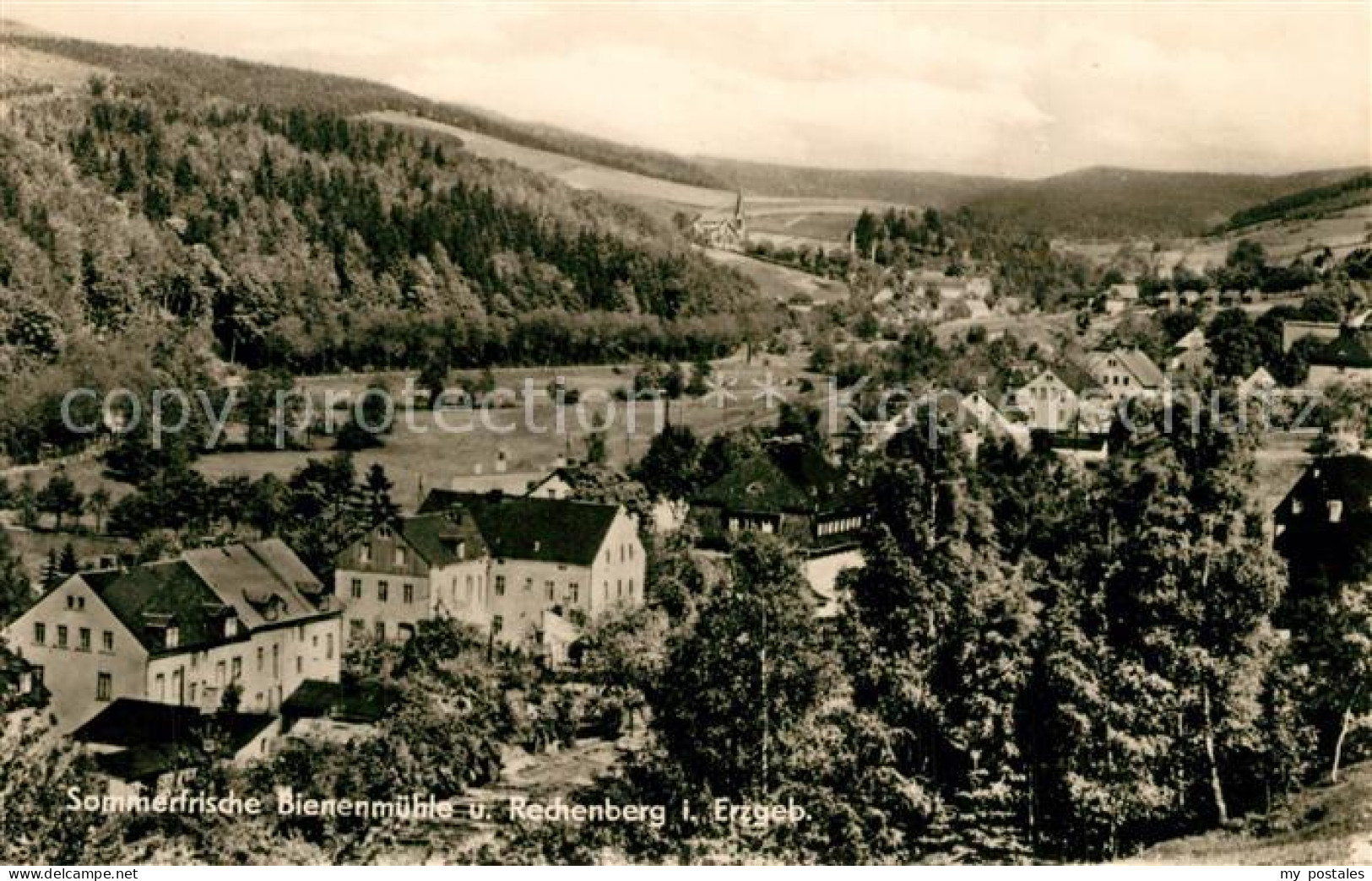 43347330 Bienenmuehle Rechenberg Osterzgebirge Panorama  - Rechenberg-Bienenmühle