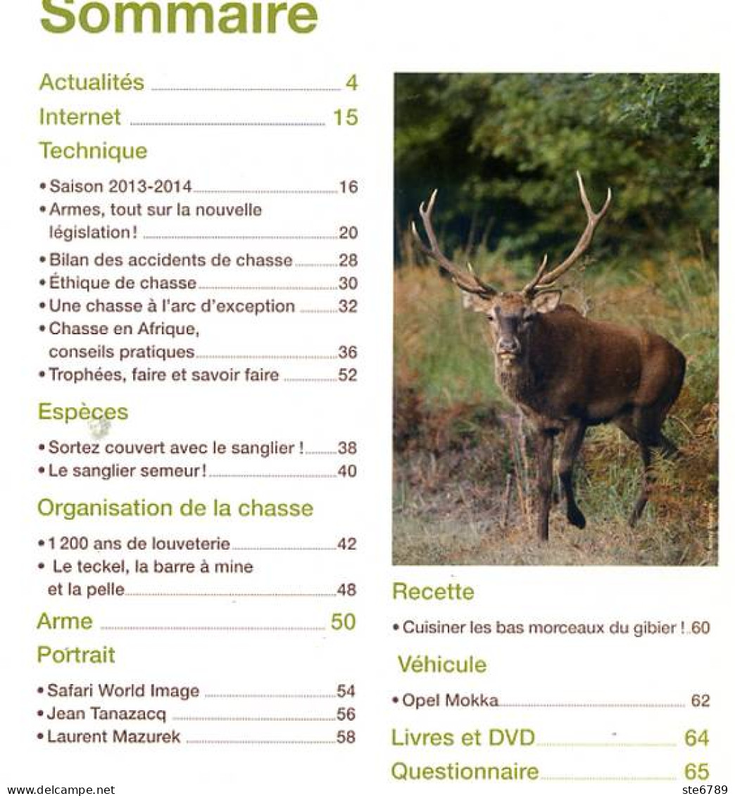 SANGLIER Techniques De Chasse N° 29 Armes , Chasser à Arc , Louveterie  , Chien Teckels - Jagen En Vissen