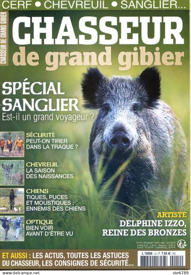 Chasseur De Grand Gibier N° 12 Special Sanglier - Jagen En Vissen
