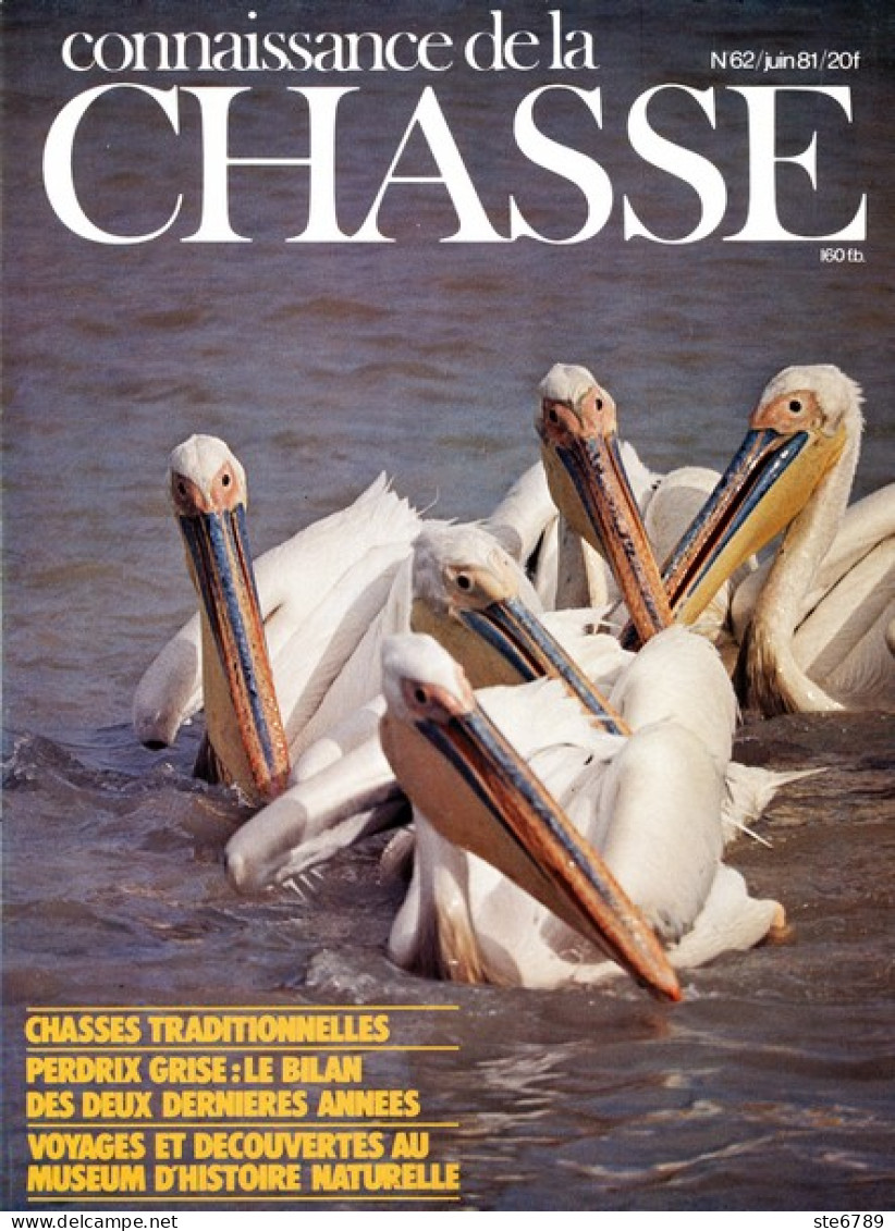 CONNAISSANCE DE LA CHASSE N° 62 1981 Animaux Sauvages - Caza & Pezca