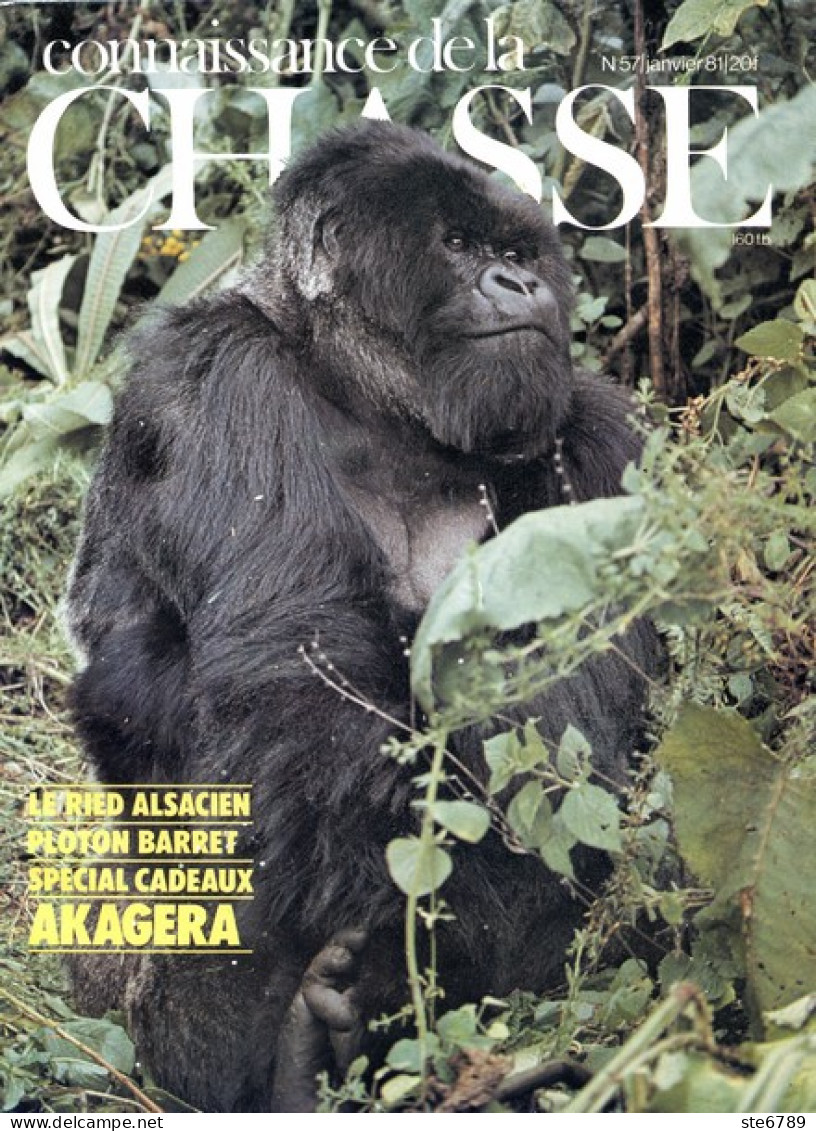 CONNAISSANCE DE LA CHASSE N° 57 1981 Animaux Sauvages - Caza & Pezca