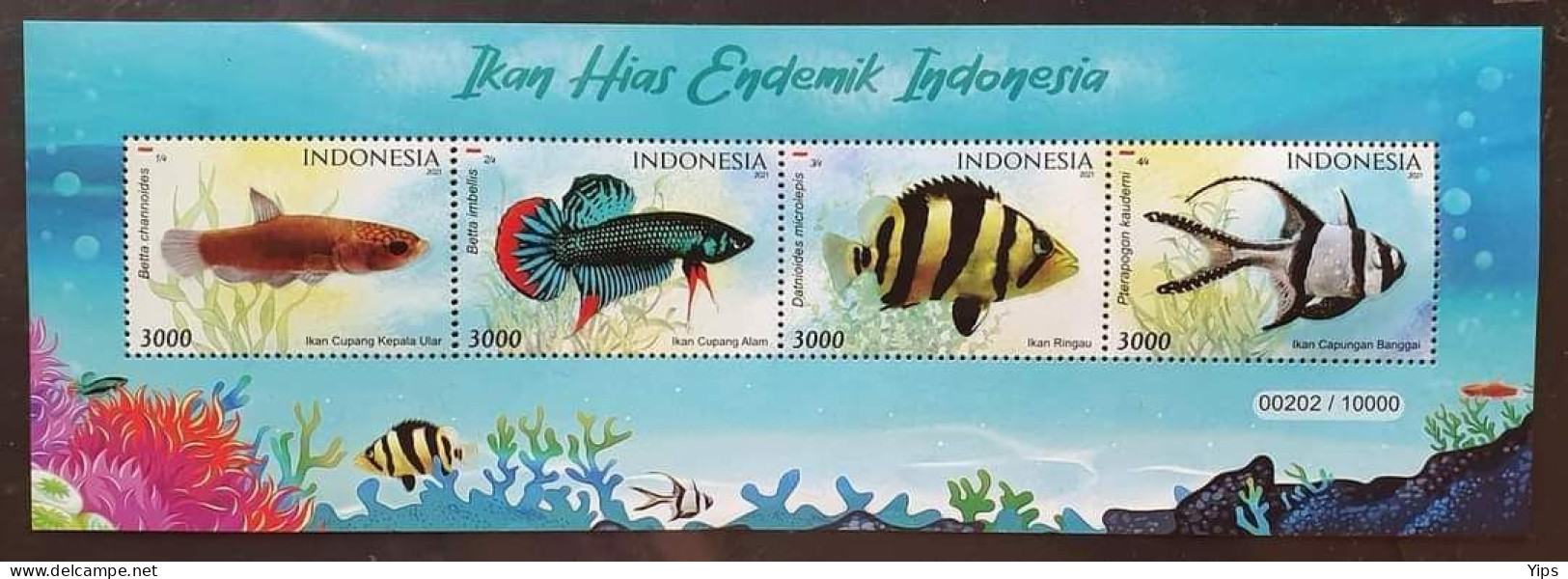 Fish 2021 - Indonésie