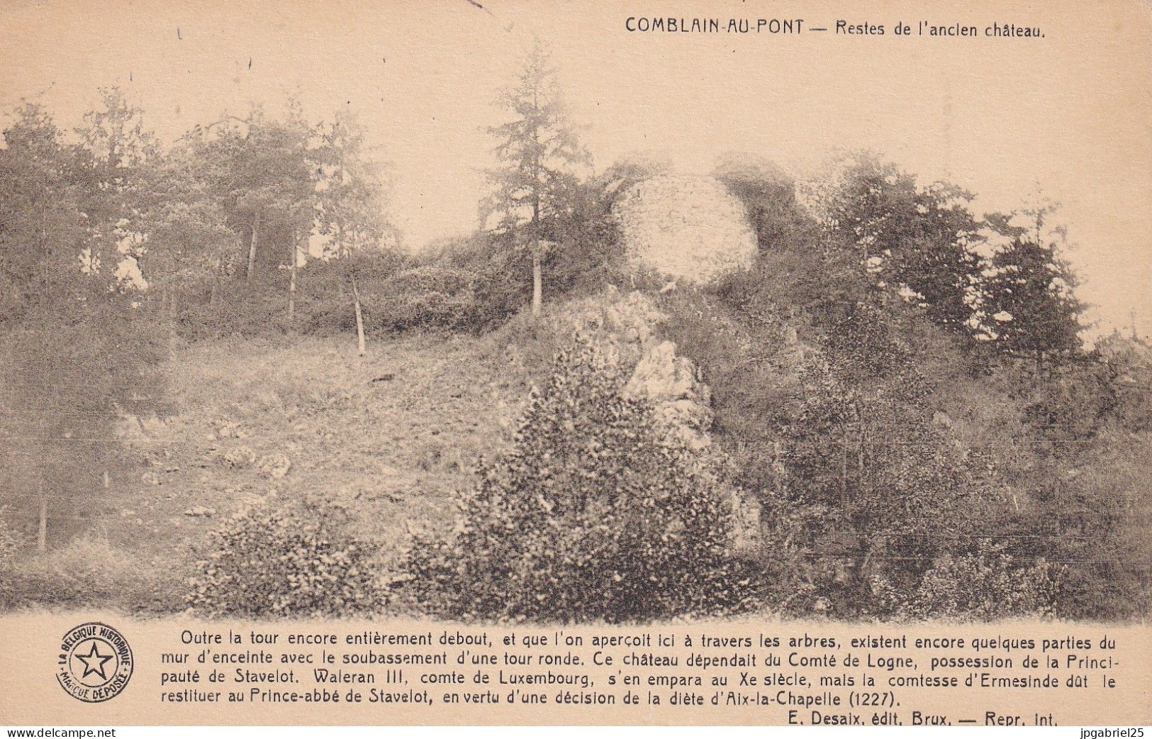 Comblain Au Pont Reste De L Ancien Chateau - Comblain-au-Pont