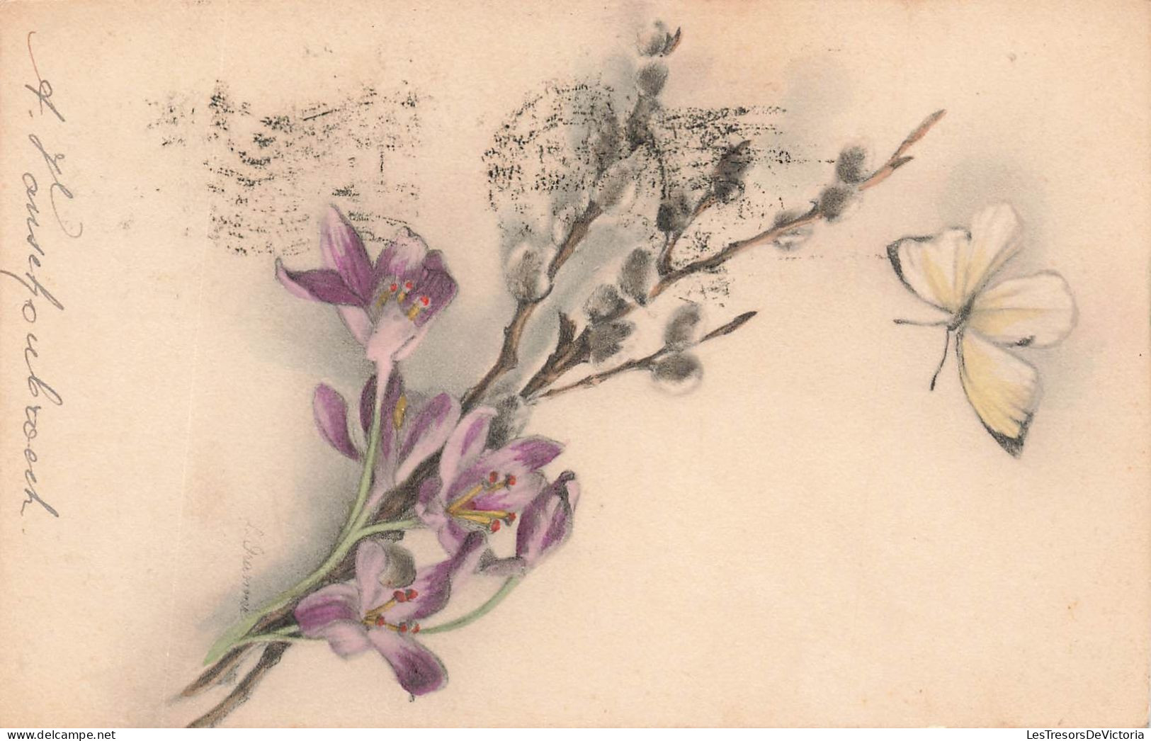 FLEURS PLANTE ARBRE - Fleurs - Fleurs Violettes Avec Un Papillon - MM Vienne - Cartes Postales Ancienne - Blumen