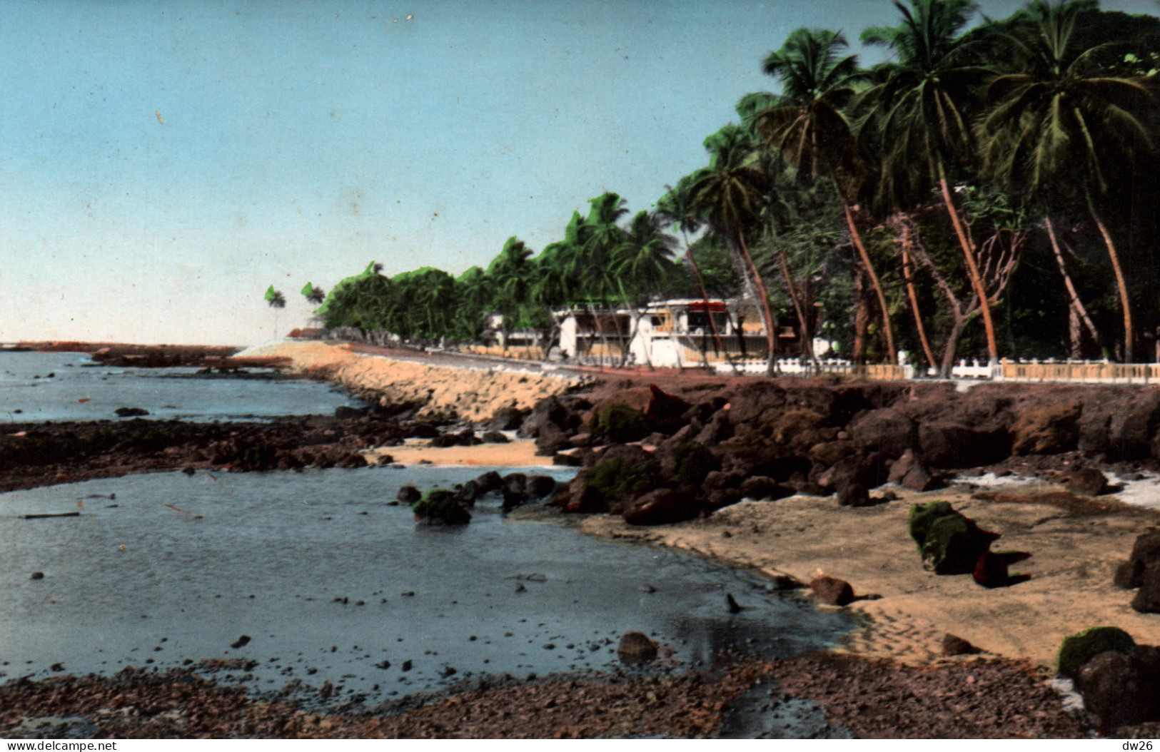 Afrique Occidentale - Guinée Française - Africolor Conakry, La Corniche - Carte Africaine N° 669 Non Circulée - Frans Guinee