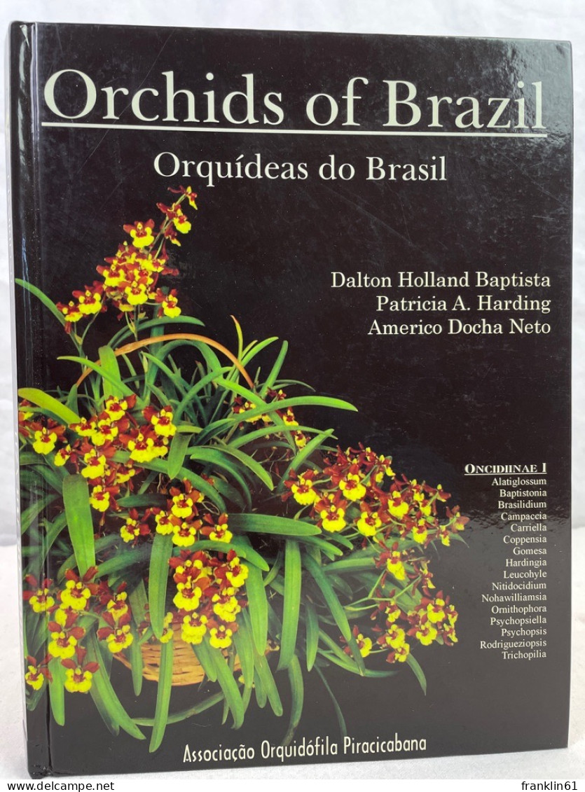 Orchids Of Brazil Oncidiinae - Part 1. - Natuur