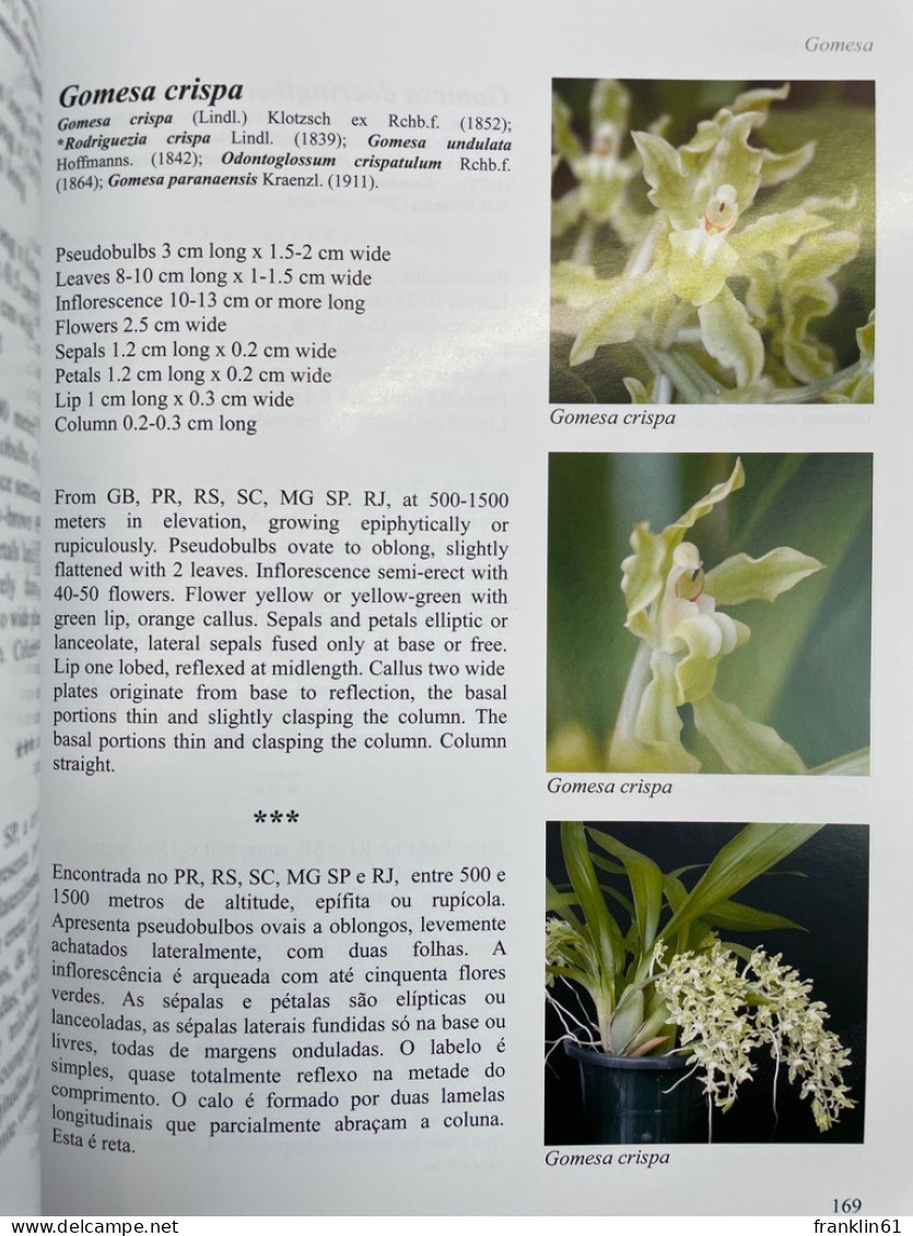 Orchids Of Brazil Oncidiinae - Part 1. - Botanik