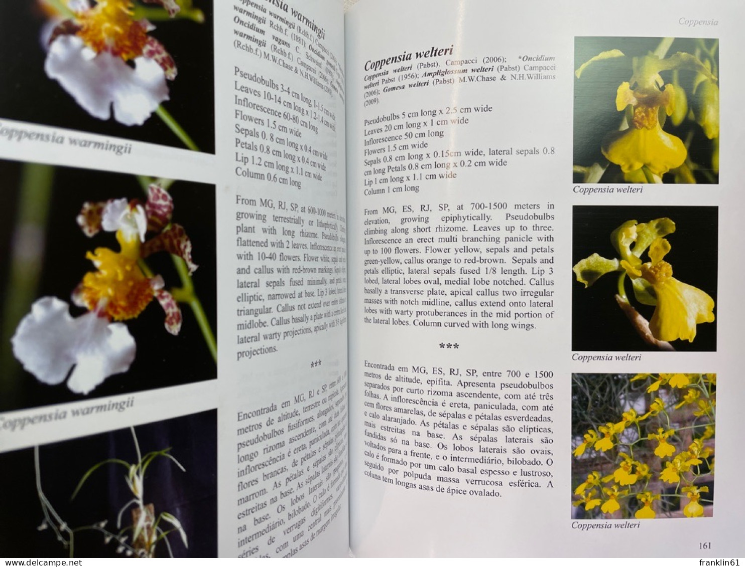 Orchids of Brazil Oncidiinae - Part 1.