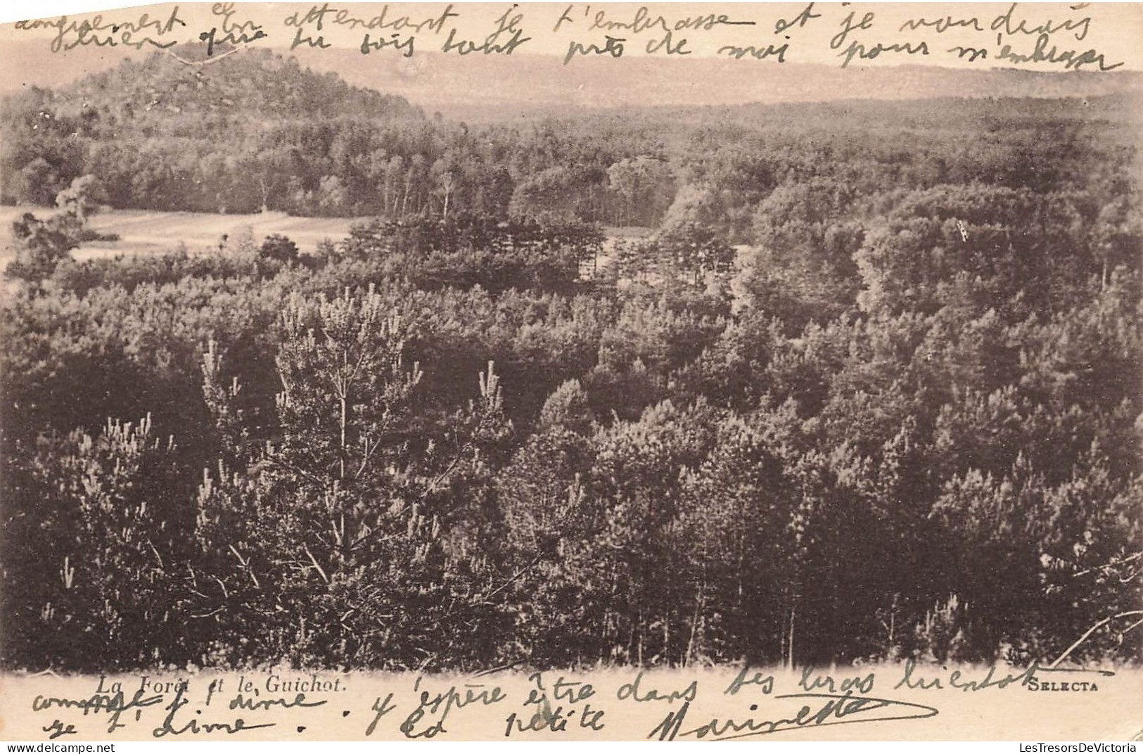 MONDE - La Forêt Et Le Guichot - Carte Postale Ancienne - World