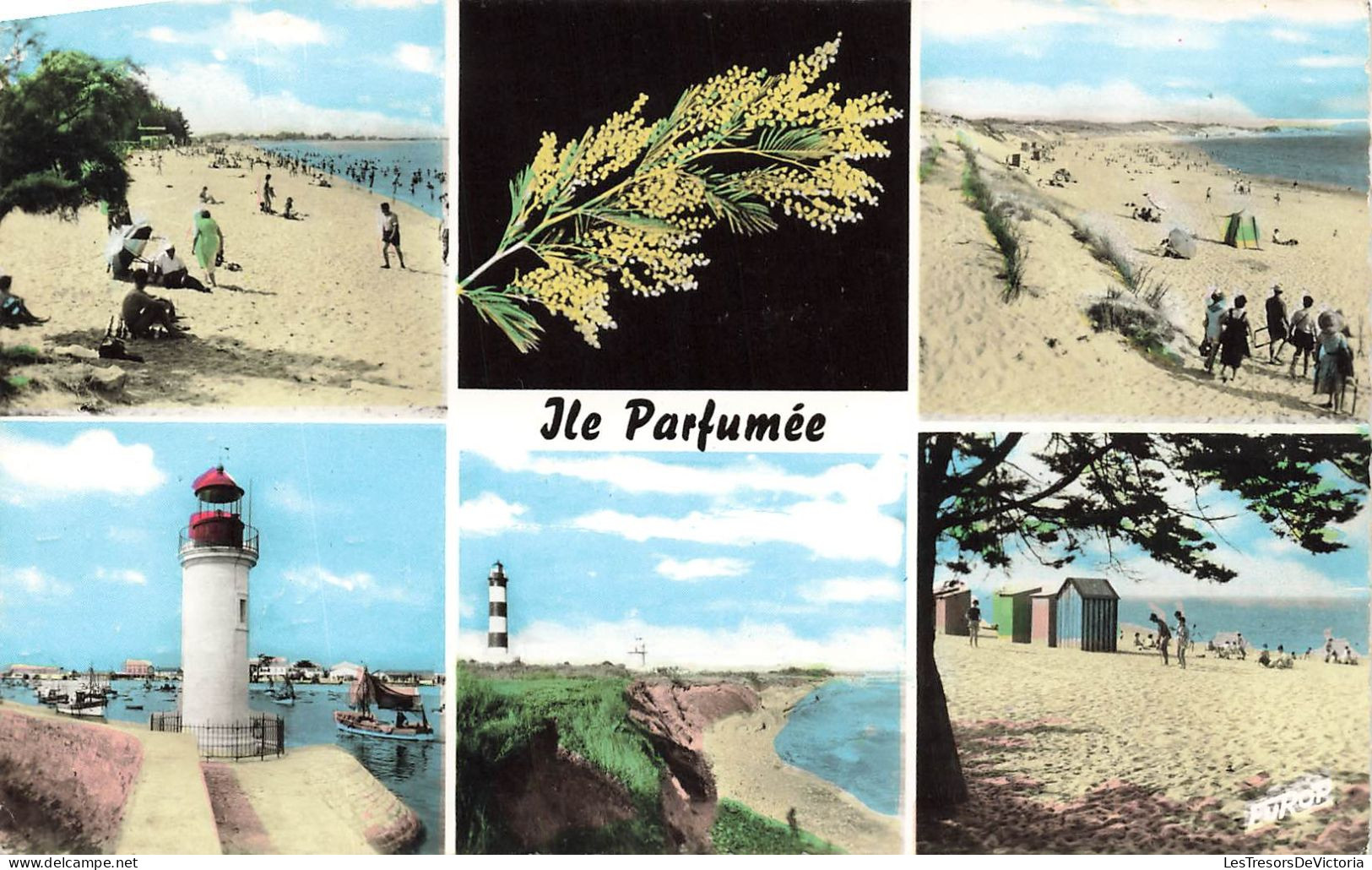 FRANCE - Île D'Oléron - Côte De Lumière - Carte Postale - Ile D'Oléron