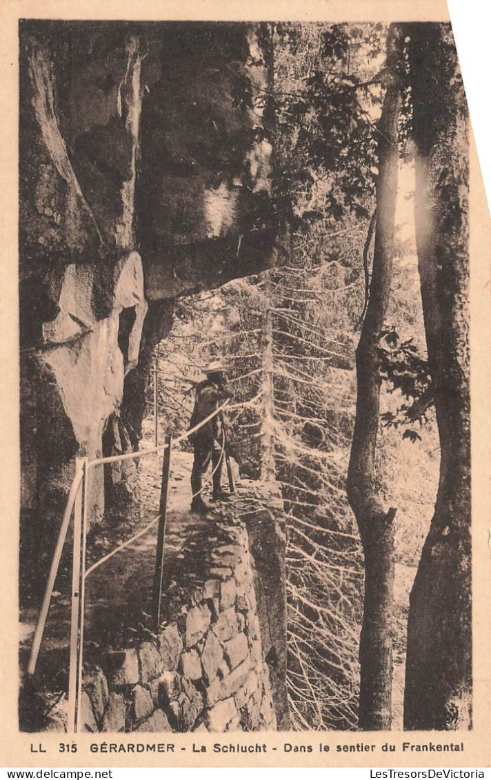 FRANCE - Gérardmer - La Schlucht - Dans Le Sentier Du Frankental - Carte Postale Ancienne - Gerardmer