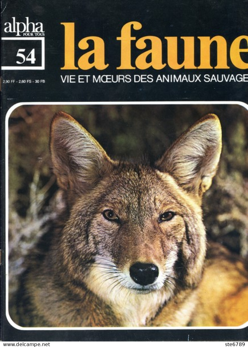 LA FAUNE Vie Et Moeurs ANIMAUX SAUVAGES N° 54  Antilocapre , Chiens De Prairie , Coyote , Cynomis - Animaux